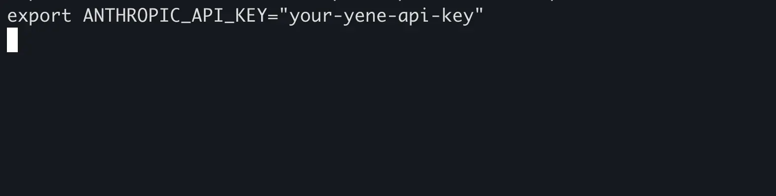 setting ANTHROPIC_API_KEY in the terminal