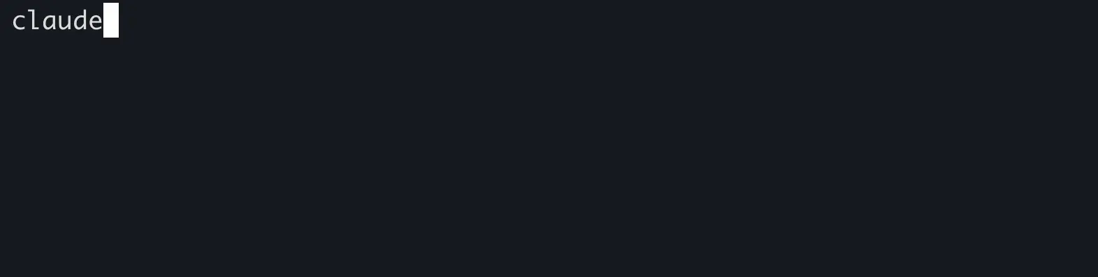 launching Claude Code in the terminal