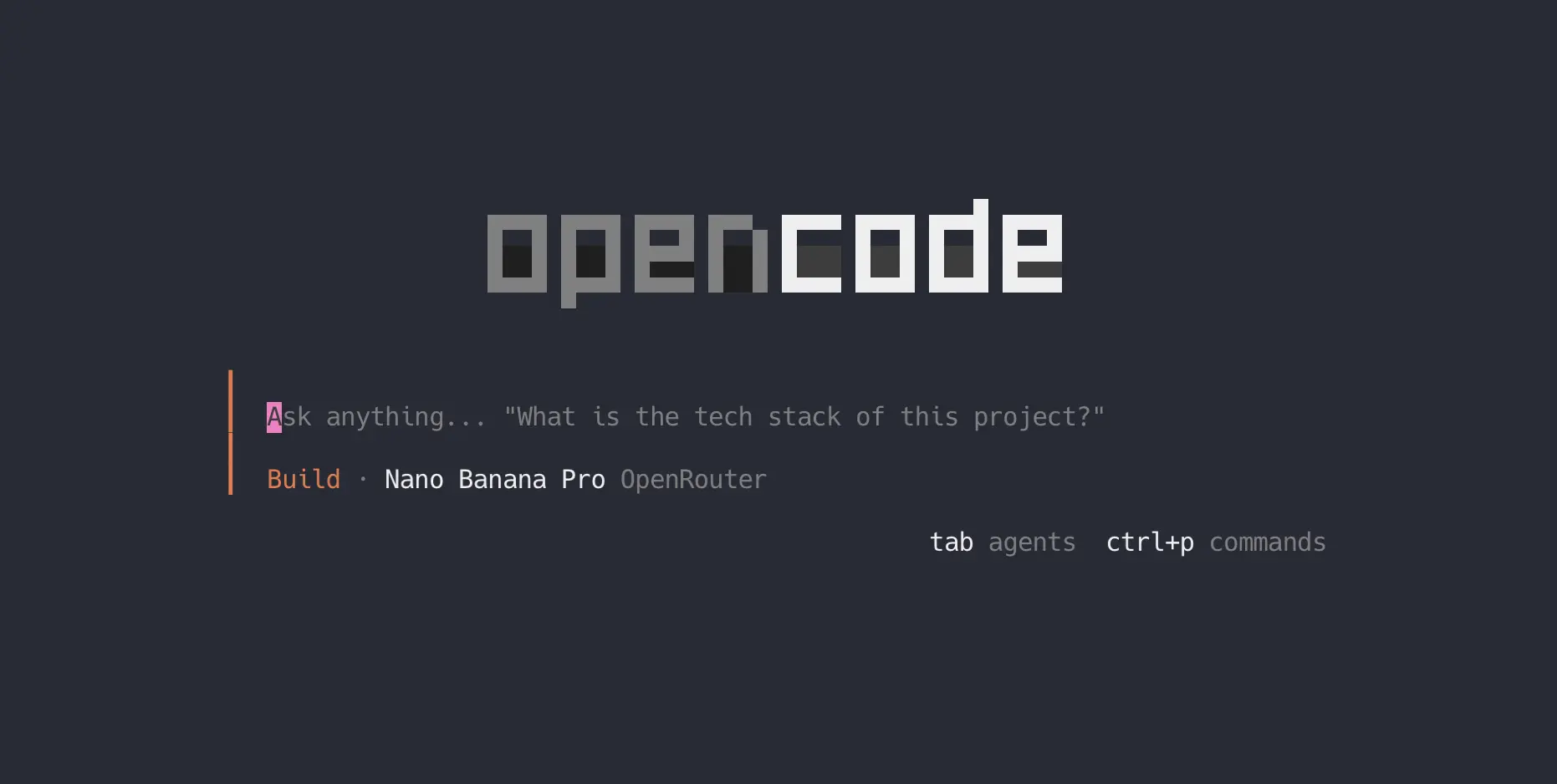 launching opencode in the terminal
